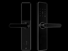 青松沃德-Wi-Fi 指紋鎖家用防盜門智能門鎖密碼鎖刷卡電子鎖 防磁干擾 防撬 L9-WT (不含鎖體，鎖體需另購）